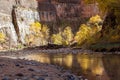 Fall Trees Reflected in Virgin River at Zion Royalty Free Stock Photo