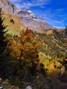 Fall trees on slopes of the Glarus Alp mountains Royalty Free Stock Photo