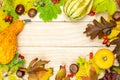 Fall trendy. Natural harvest with orange pumpkin, fall dried leaves, red berries and acorns, chestnuts on wooden background in