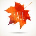 Fall triangular maple leaf Royalty Free Stock Photo