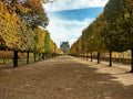 Fall in Tuileries garden, Paris