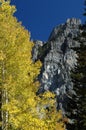 Fall in Utah Mountains Royalty Free Stock Photo