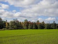 A fall view of the beautiful vistas of Sipoonkorpi National Park, Finland.