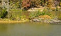 Fall View Beaver Hatch at Pandapas Pond in Giles County, Virginia, USA Royalty Free Stock Photo