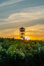 Fall vineyards,Palava region,South Moravia,Czech Republic.Rural landscape at sunset, panoramic view of vineyard and observation Royalty Free Stock Photo