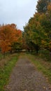 Fall walk Royalty Free Stock Photo