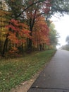 Fall walk Royalty Free Stock Photo