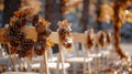 fall wedding decor, chairs adorned with dried leaf and pine cone wreaths for an outdoor autumn wedding, adding natural Royalty Free Stock Photo