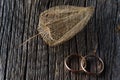 Fall wedding decoration. Cape gooseberry