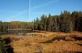 Fall Wetland Royalty Free Stock Photo