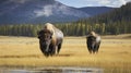 Fall in the Wild. Serene Journey of Two Bison Across National Park. Generative AI Royalty Free Stock Photo