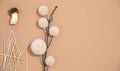 Fall Winter banner. Autumn decor brunch and mushrooms. Trendy brown and beige colours shades. Aesthetic seasonal minimal
