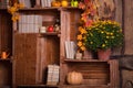 Fall wooden interior with pumkins, autumn leaves and flowers. Halloween thanksgiving decoration. Royalty Free Stock Photo