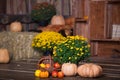 Fall wooden interior with pumkins, autumn leaves and flowers. Halloween thanksgiving decoration. Royalty Free Stock Photo