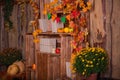 Fall wooden interior with pumkins, autumn leaves and flowers. Halloween thanksgiving decoration. Royalty Free Stock Photo