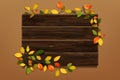 Fall wooden sign. Autumn wood. Realistic board and leaves. Forest tree branch. Old frame. Yellow and red flora. Autumnal