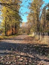 Fall in a woodland path Royalty Free Stock Photo