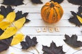 FALL word, pumpkin and leaves on a wooden board, white background