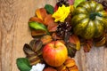 Fall wreath with green pumpkin and yellow silk roses Royalty Free Stock Photo