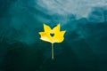 Fall yellow leaf floating on the water surface Royalty Free Stock Photo