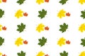 Fall of yellow maple leaves. Seamless texture.Autumn design Royalty Free Stock Photo