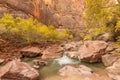 Fall in Zion National Park Royalty Free Stock Photo
