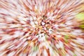 Fall zoom blur Royalty Free Stock Photo