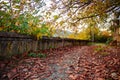 Fall colors & path Royalty Free Stock Photo