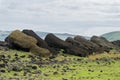 Fallen Ancient Moai Statues on Grassy Plain Royalty Free Stock Photo