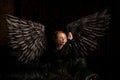A fallen angel seeks redemption through prayer Royalty Free Stock Photo