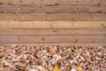 Fallen Autumn Leaves Against a New Wooden Fence Royalty Free Stock Photo