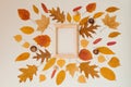 Fallen autumn leaves arranged next to each other around a wooden frame on a beige background. Copy Space Royalty Free Stock Photo