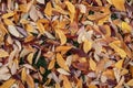 Fallen autumn leaves background Royalty Free Stock Photo