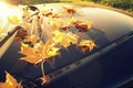 Fallen autumn leaves on car Royalty Free Stock Photo