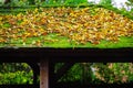 Roof of a waiting hut made of bitumen shingles full of moss and withered autumn leaves 2