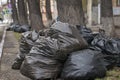 Fallen autumn leaves are packed in bags