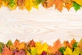 Fallen autumn leaves, red, orange and yellow on wooden board. Colored, bright background. Autumn season Royalty Free Stock Photo