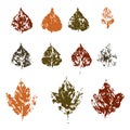 fallen autumn leaves vector set stamps of natural leaves paint on paper Royalty Free Stock Photo