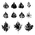fallen autumn leaves vector set stamps of natural leaves paint on paper Royalty Free Stock Photo