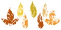 fallen autumn leaves vector set stamps of natural leaves paint on paper Royalty Free Stock Photo