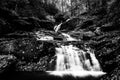 Fallen autumn leaves and a waterfall on Oakland Run in Holtwood, Pennsylvania. Royalty Free Stock Photo