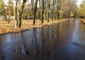 Fallen autumn yellow leaves on the path and reflections of trees in puddles Royalty Free Stock Photo