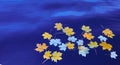 Fallen autumn yellow maple leaves on the surface of blue water. Space for your text Royalty Free Stock Photo