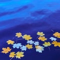 Fallen autumn yellow maple leaves on the surface of blue water. Space for your text Royalty Free Stock Photo