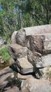 Fallen Basalt showing hexagonal cross section shape