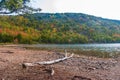 Fallen branch on the shore of Jordan Pond in autumn Royalty Free Stock Photo