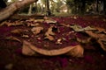 Fallen brown leaves at soil full of red and purple flowers creating a poetic scene