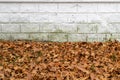 Fallen brown leaves at the white foundation. Brick pattern Royalty Free Stock Photo