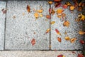 Fallen colorful autumn leaves on light grey granite pavement texture background, Kyoto Royalty Free Stock Photo