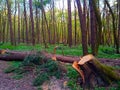 Trail through loess gorges in wodny dol national park